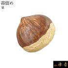 衿秀 公式 帯留め 帯留 おびどめ 栗 くり 秋 suu ブラフシューペリア 和装小物 和小物 えりひで 襟の衿秀