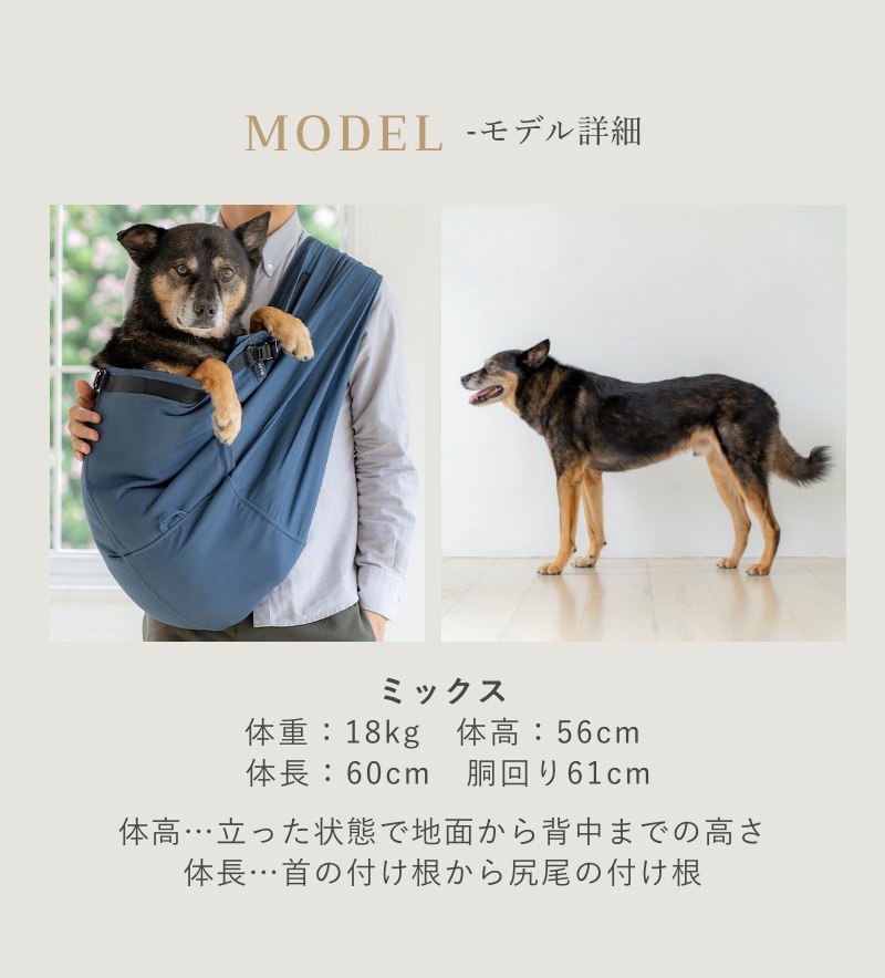 ¿ǽɥå ٥ ֥롼3(եʡ/15kg-20kgб)