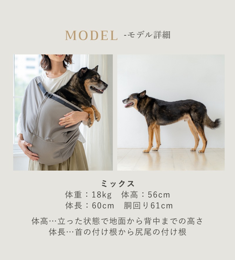 ¿ǽɥå ٥(2) 졼3(եʡ/15kg-20kgб)