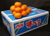 味っ子みかん　Sサイズ　5㎏　赤秀等級