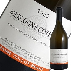 ドメーヌ トロボー 2本セット ブルゴーニュワイン ブルゴーニュ コート ドール ブラン[2023]トロ ボー（白ワイン