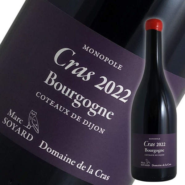 邦楽 mona71869221 USED 2025 momose MC-HYUGAZAKURA SP'25/E Deep Blue-Vertical