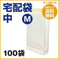 32.0ߡ   M 100  (2Ĥ̵)