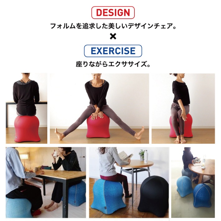 (����̵��)�����꡼�ե��å��� ������ ����������� DVD�դ�