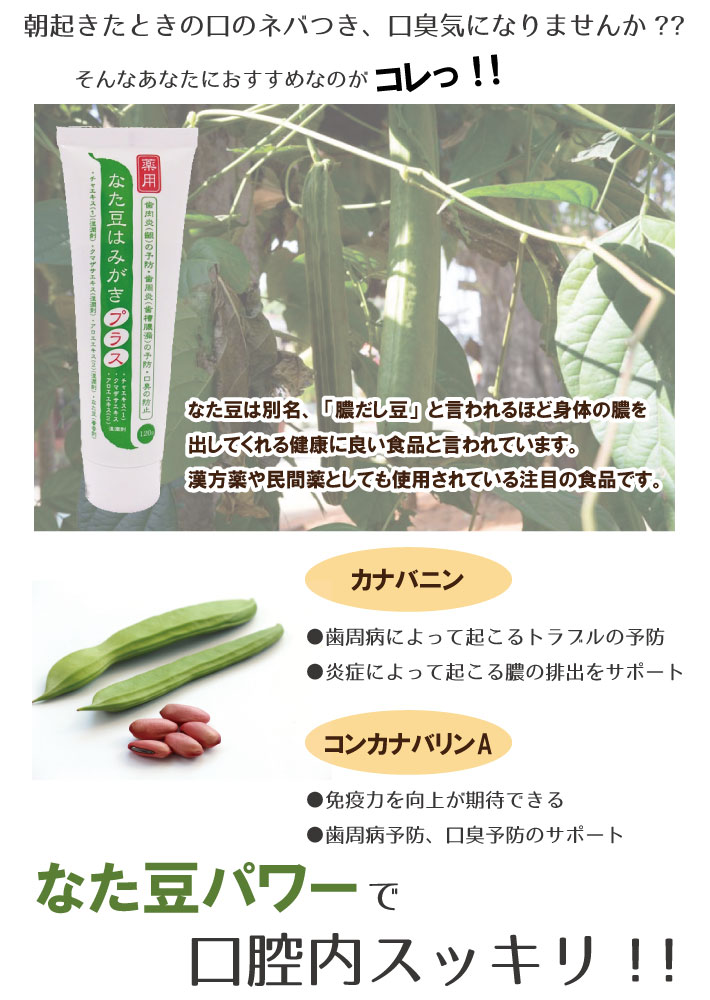 (2�ܥ��å�)���� �ʤ�Ʀ�Ϥߤ����ץ饹 120g(����̵��)(���ե� �ץ쥼���)