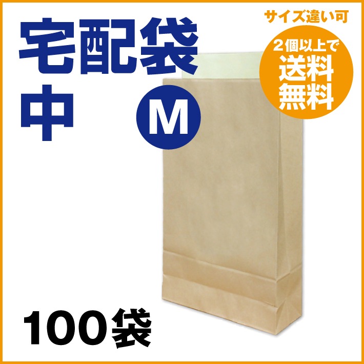 32.0ߡ   M 100  ե (2Ĥ̵)