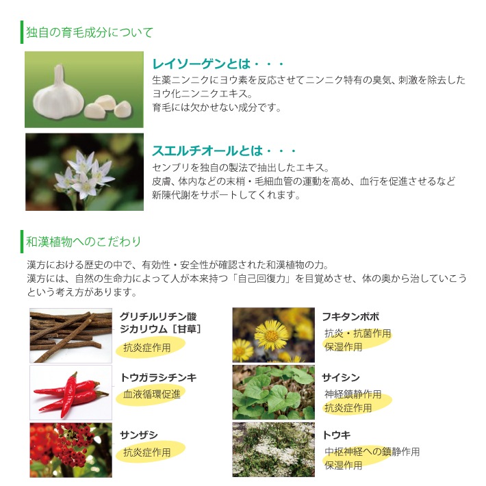 (����̵��)(6�ܥ��å�)���� �쥤���� �ٵ��� 120ml ���Ӻ�