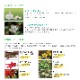 (����̵��)(6�ܥ��å�)���� �쥤���� �ٵ��� 120ml ���Ӻ�