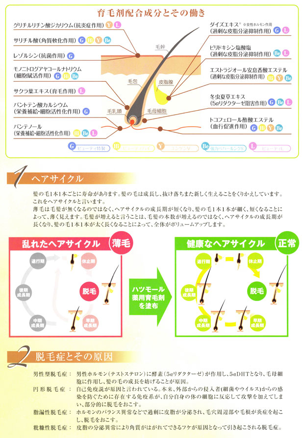 (����̵��)(2�ܥ��å�)�ϥĥ⡼�� �ӥ塼�ƥ� L 180ml