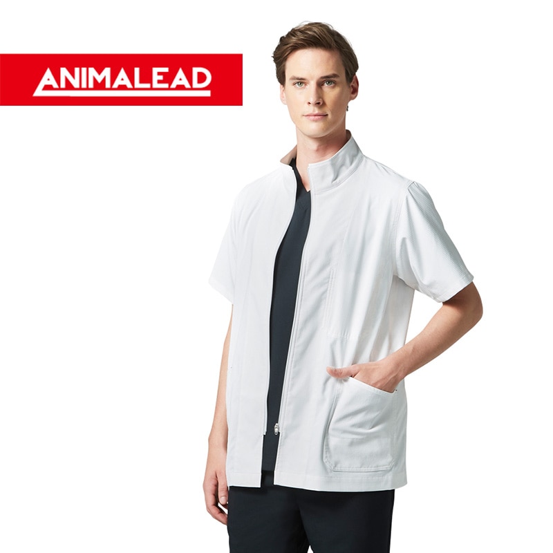 琴 こと 布着きます 170センチ zk-chr1.jpg