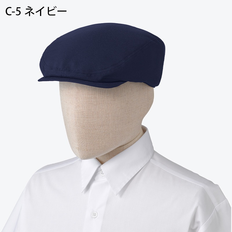 ����� �ϥ���� BSS202