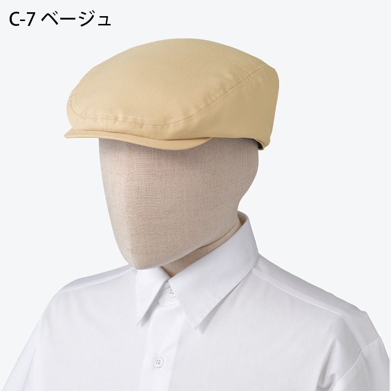 ����� �ϥ���� BSS202