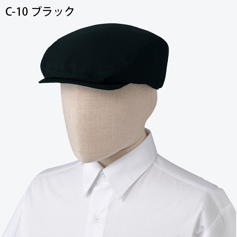 ����� �ϥ���� BSS202