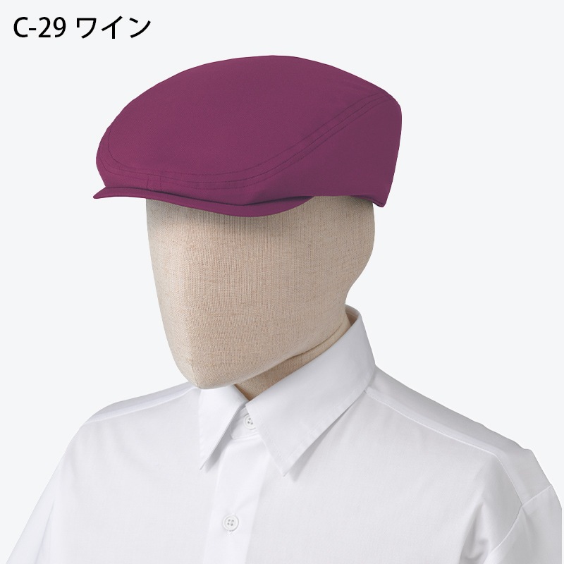 ����� �ϥ���� BSS202