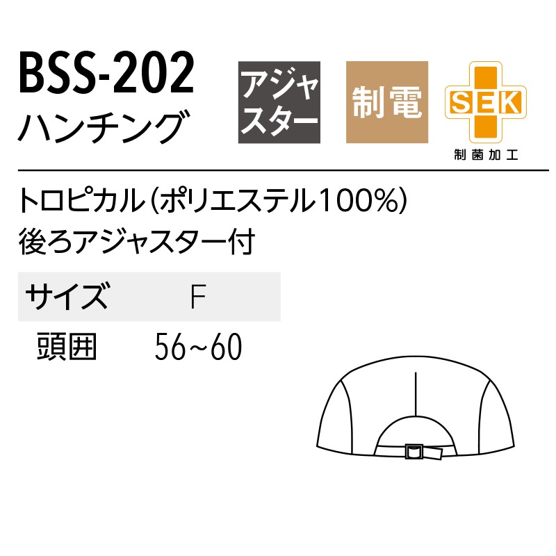 ����� �ϥ���� BSS202