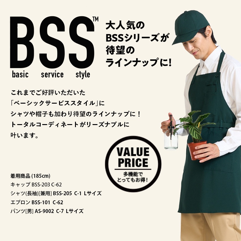 ����� ����å� BSS203