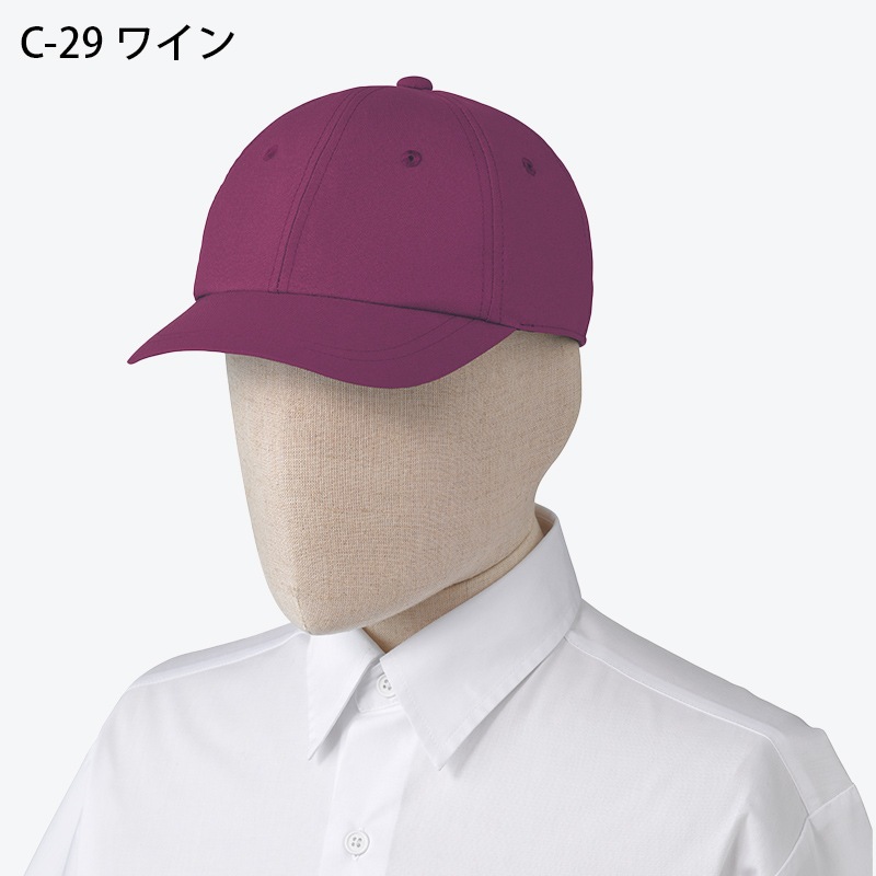 ����� ����å� BSS203