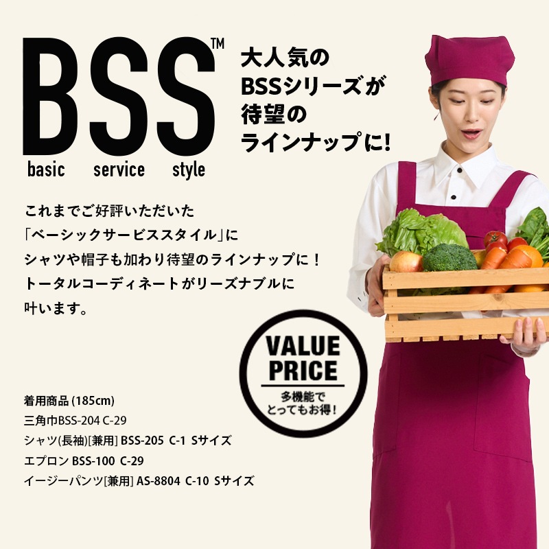 ����� ���Ѷ� BSS204