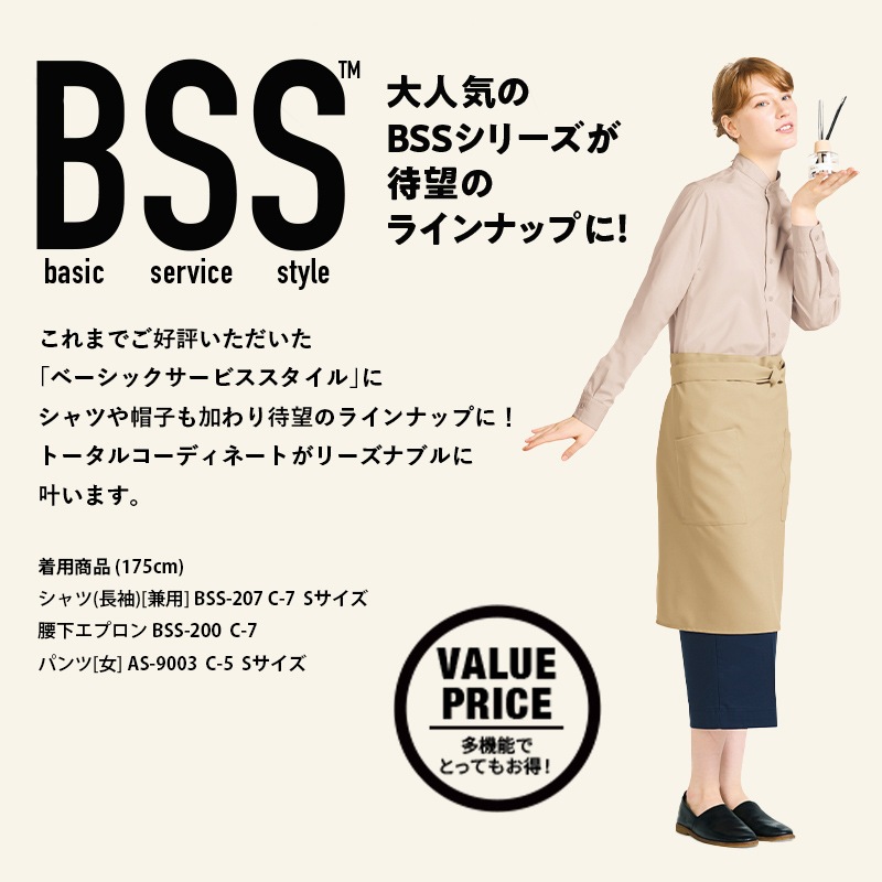 ����� �������ץ��� BSS200