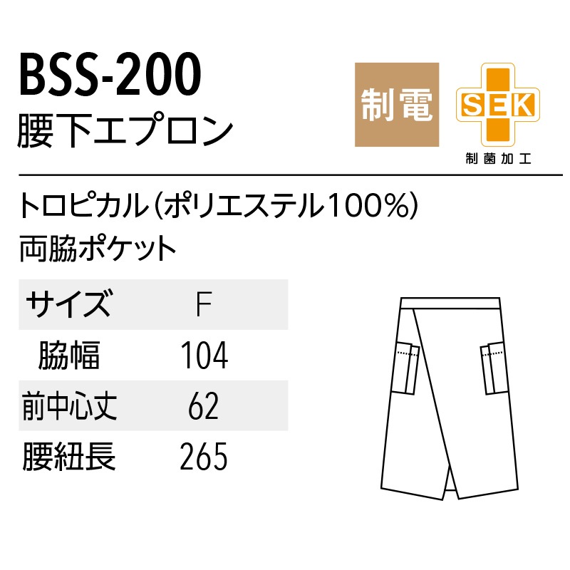 ����� �������ץ��� BSS200
