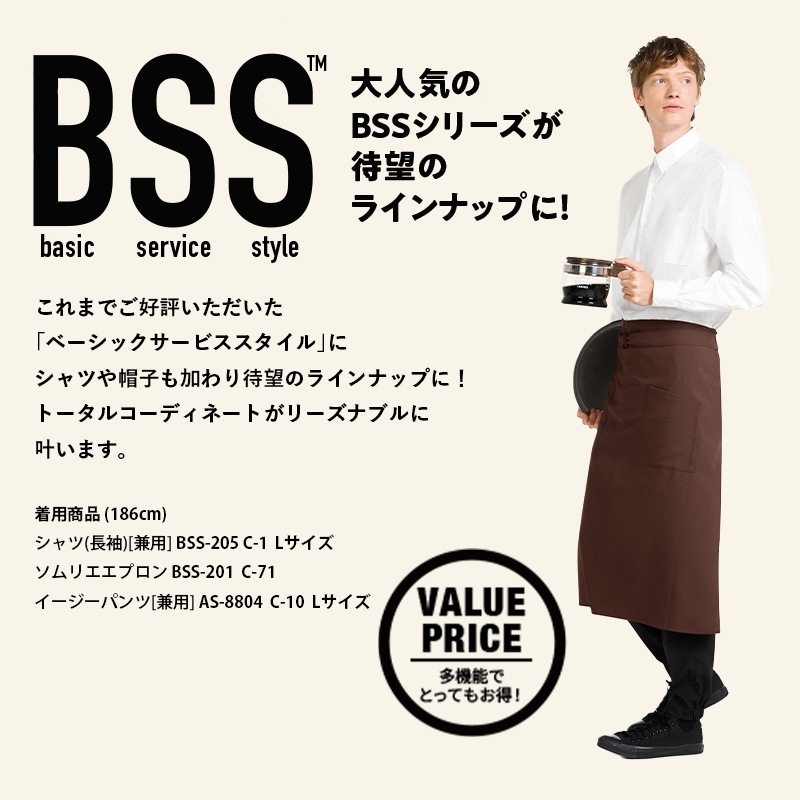 ����� ����ꥨ���ץ��� BSS201