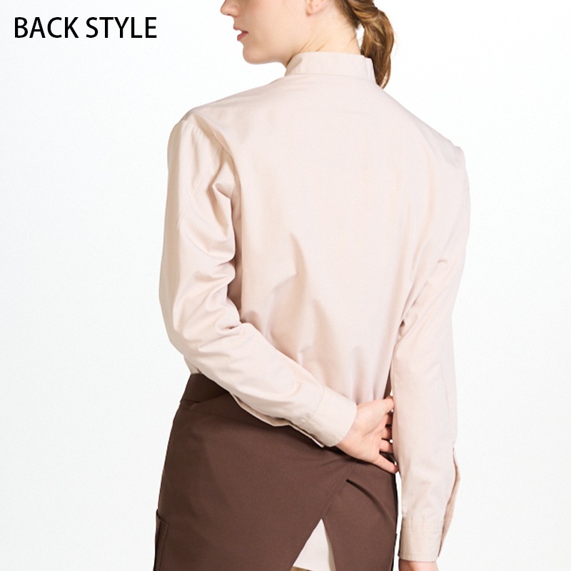 ����� ����� BSS205 ���� Ĺµ