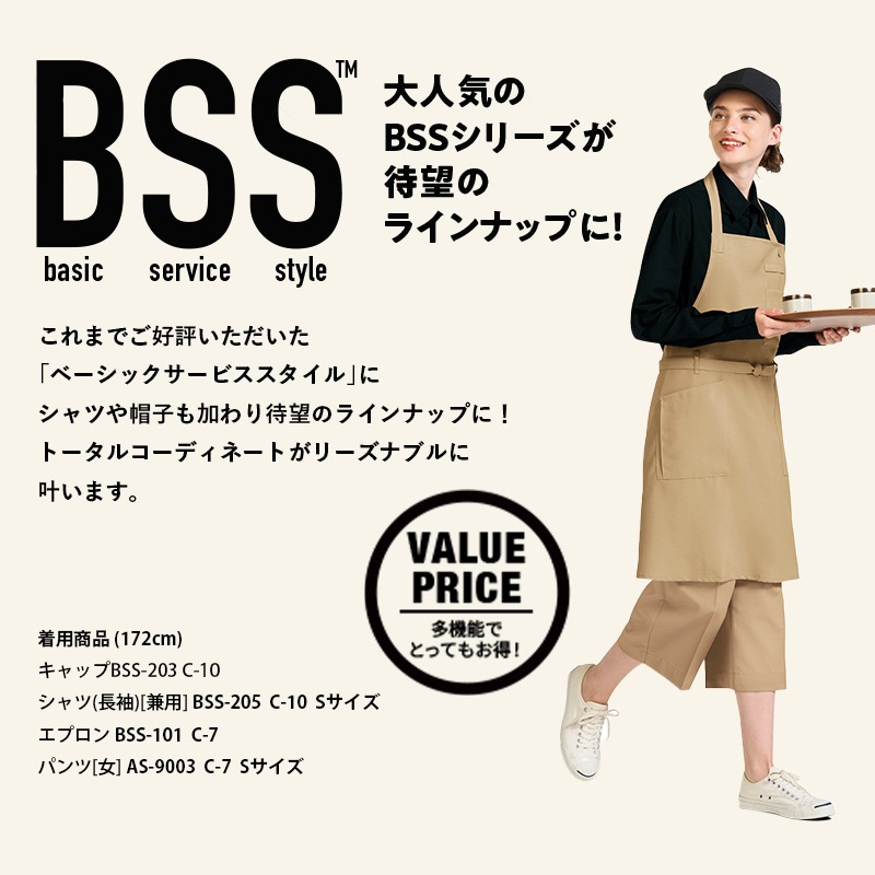 ����� ����� BSS205 ���� Ĺµ