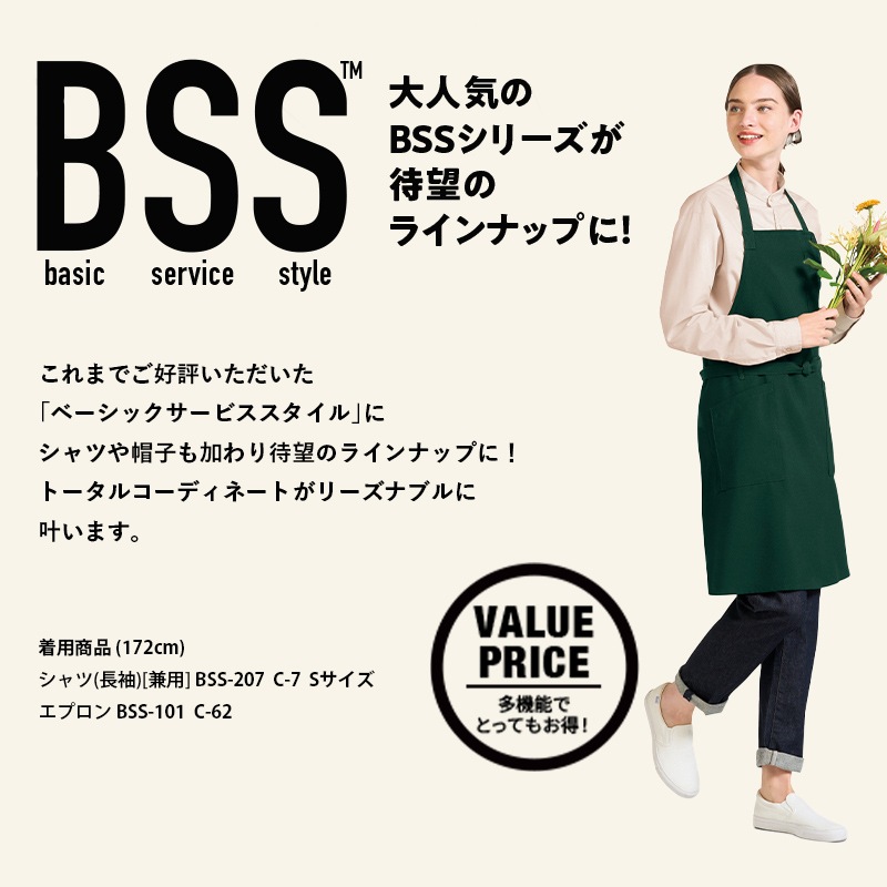 ����� ����� BSS207 ���� Ĺµ ������ɥ��顼