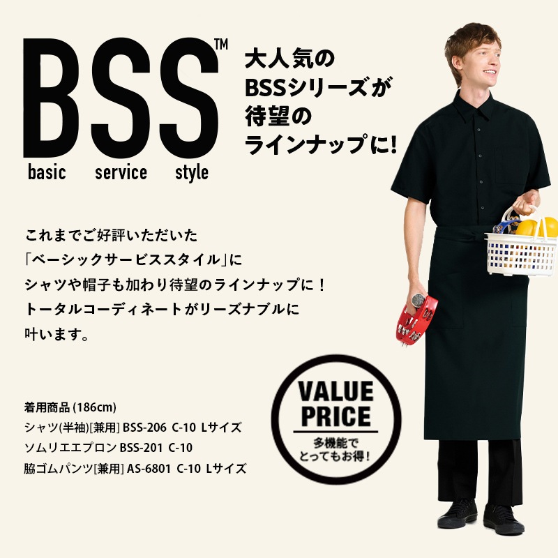 ����� ����� BSS206 ���� Ⱦµ