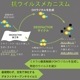 [�߸˸¤�] ����� ��󥿥å� �ѥ�� AS-8707 ��ǥ����� [�������륹/������/����] ���ȥ�å� ���� ���ե� �ե����ޥ� ���� ��� ARBE