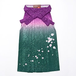 大人女子袴 紫緑ぼかし 前のみ刺繍桜 少々難あり 中国製