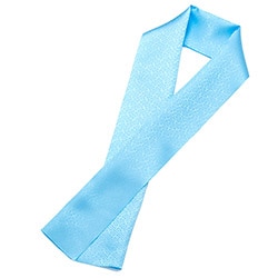 男の子半衿 ポリ ブルー リンズ サヤ