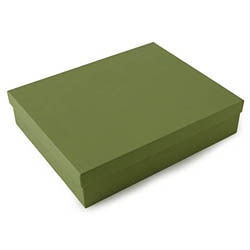 化粧箱 殿方草履用 草色 3L寸