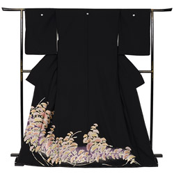 黒留袖 ポリ 菊 紫