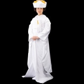 大人和装,花嫁用品,打掛・掛下・掛下帯 |衣裳・和装小物の仕入れなら