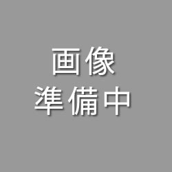 草履バッグセット 金 ラメ織  中国製