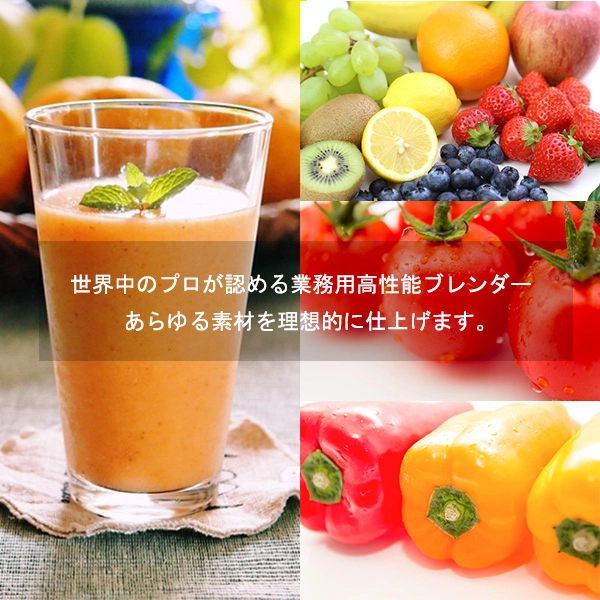 Vitamix サイレントブレンダー / #69734-ABCB