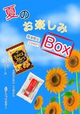 �ƤΤ����Τ���Ȣ�ڥ���饤�󥷥�å׿��̸���ۡ�