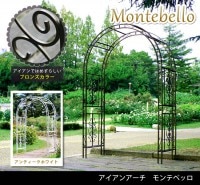 ǥ󥢡 󥢡 ƥ٥å SST-IPN-7973 ֥/ ƥۥ磻 Х饢 ǥե˥㡼   Բ