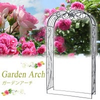 Х   ǥ󥢡 W1180H2260D380 11.5kg  Ω 鴶ɺǥ󥢡