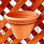 ������� �ץ�󥿡��եå� �����ǥ˥� F-354 ���̥ݥåȥϥ󥬡� ��ƥ���4��ȭ�� ���ĥ��å� ��ʪ���ɾ���