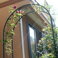 ǥ󥢡 R-N Х  ǥե˥㡼  Ĥ뿢ʪХͶ