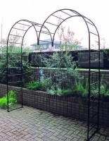  ǥ󥢡 M Х  ǥե˥㡼  Ĥ뿢ʪ鯤Ͷ