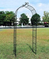 ȥ ǥ󥢡 D Х  ǥե˥㡼  ǥ