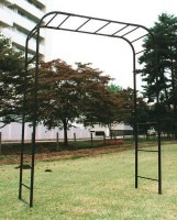 ǥ󥢡 ƥ󥷥󥢡100å Х  󥬡ǥ󥢡 ĥ뿢ʪФͶ