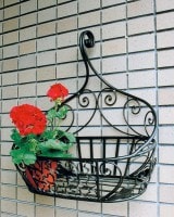 �ե��ܥå��� �ɾ��� ��������ե��Х����åȥ�������Х����åȣ��� ���դβ��� ��������ե��ܥå��� �������ƥꥢ ��������