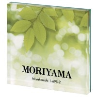 ɽ�� �ͷ� ������� �������ɽ�� PYS-3-3 �֥�å� ������ץ졼�� �͡���ץ졼��