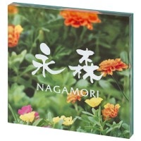 ɽ�� �ͷ� ������� �������ɽ�� PYS-6-6 �ۥ磻�� ������ץ졼�� �͡���ץ졼��