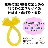 勞勞ͤΤ 쥮顼   ȥå ȥ졼˥    ѥ ץ쥼 £ʪ