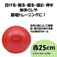 ԥƥ ܡ 25cm 150g ԥƥܡ250  XYSTUS  TOEI LIGHT ȡ饤 Х󥹥ܡ ߥ ȥå  ϥӥ